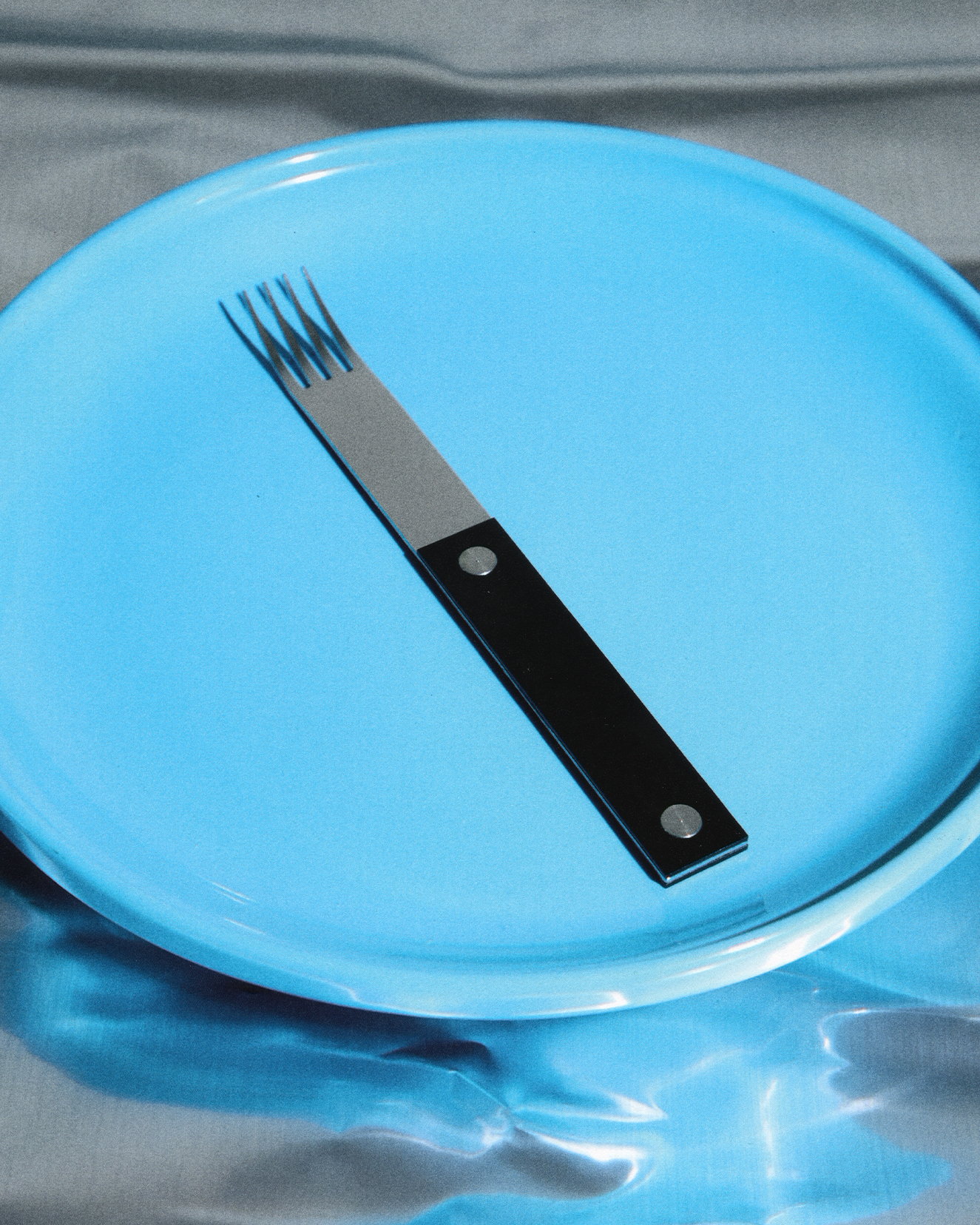 forks-plus-stainless-fork-black-handle-blue-plate Stainless steel fork with black handle resting on a blue plate