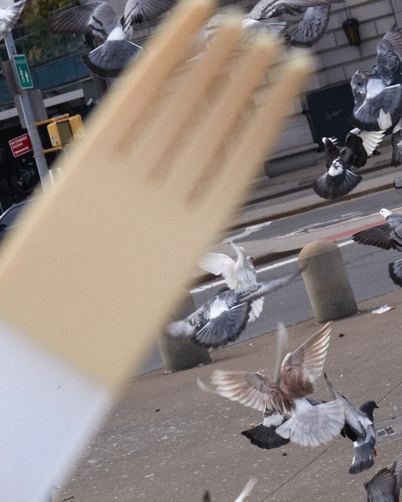 forks-plus-white-fork-beige-sleeve-pigeons-background White acrylic fork with beige silicone sleeve, pigeons in the background